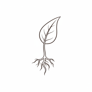 Eco Leaf Icon