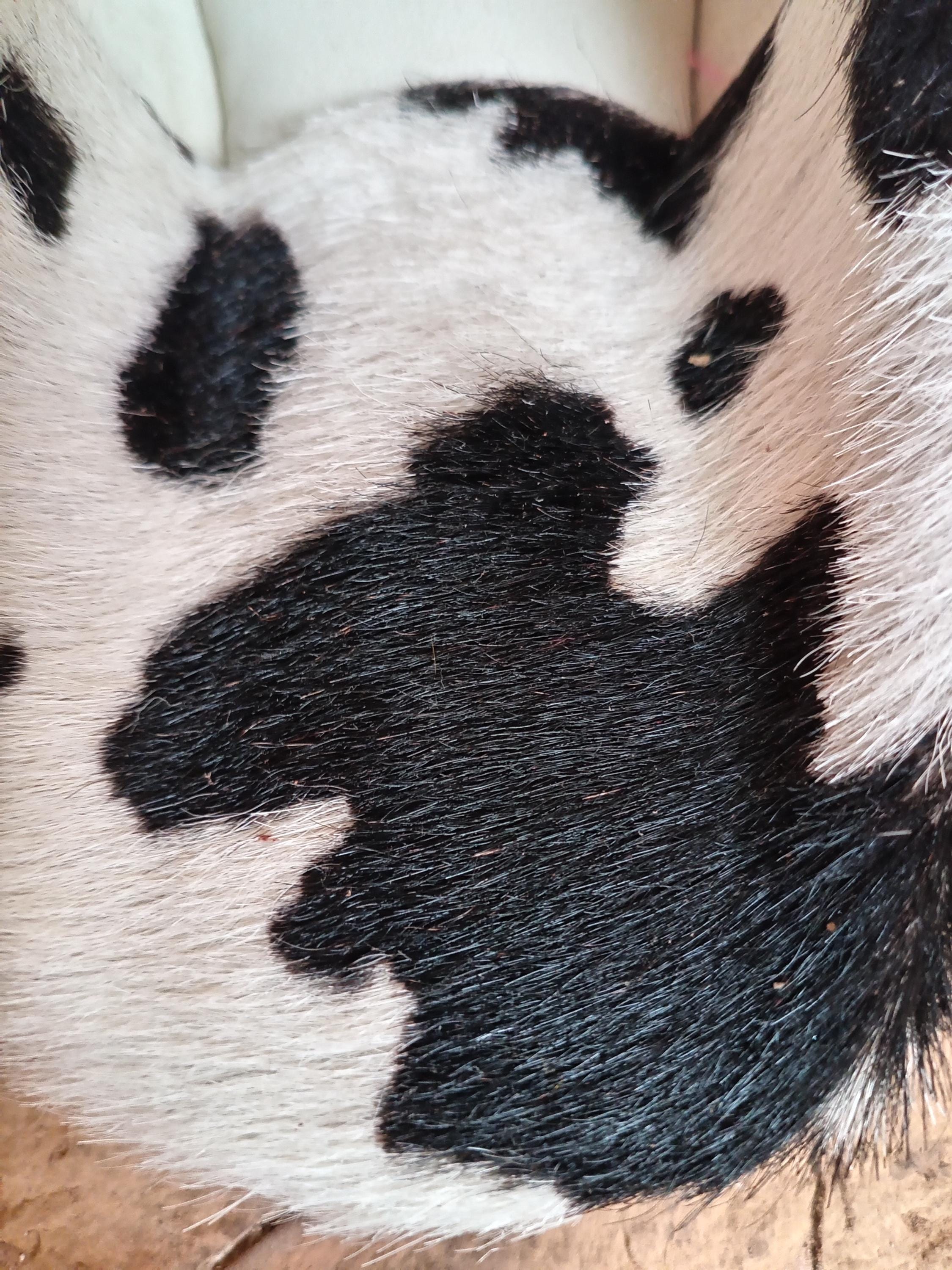 Men's slippers / Women's slippers / Cowhide leather slippers / Entirely hand-stitched / 100% natural leather